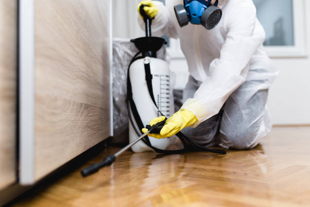 Best Exterminator Services  in Mulberry, IN