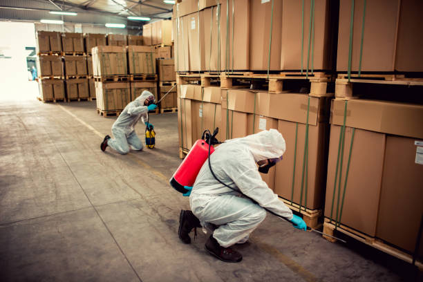 Best Pest Prevention Services  in Mulberry, IN