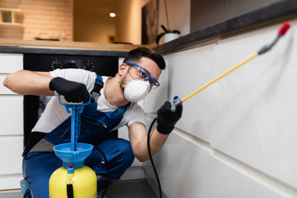 Best Bed Bug Extermination  in Mulberry, IN