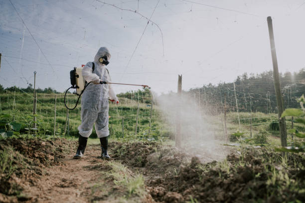 Best Local Pest Control Services  in Mulberry, IN