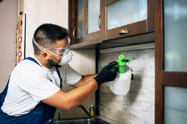 Best Pest Control Near Me  in Mulberry, IN