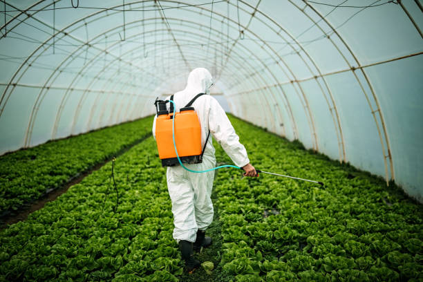 Best Residential Pest Control  in Mulberry, IN