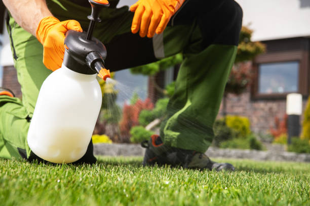 Best Commercial Pest Control Services  in Mulberry, IN