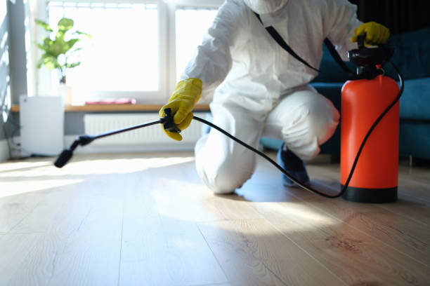 Best Flea Control Services  in Mulberry, IN