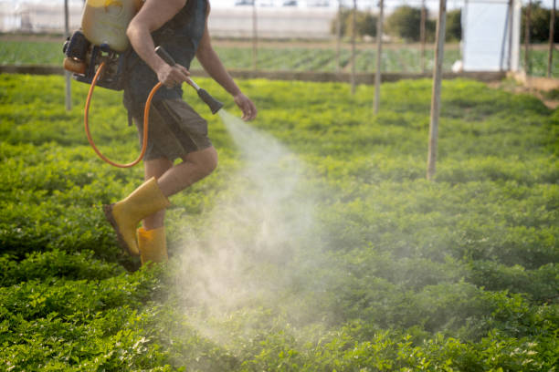 Reliable Mulberry, IN Pest Control Solutions