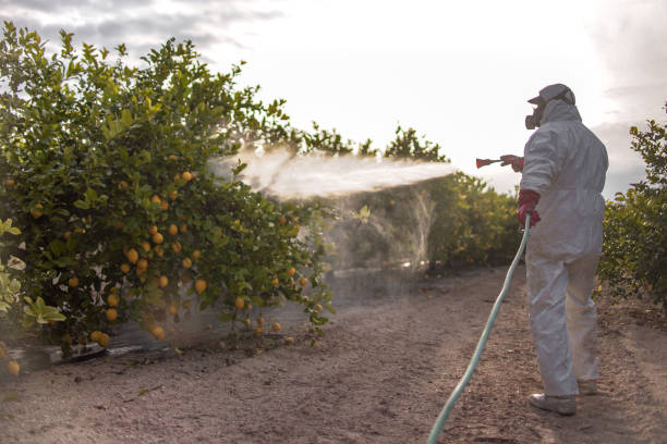 Best Insect Control  in Mulberry, IN