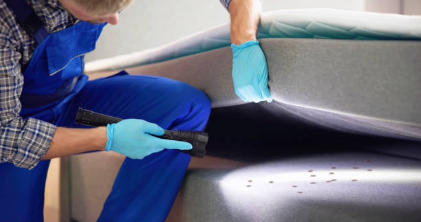 Wasp Removal Services in Mulberry, IN