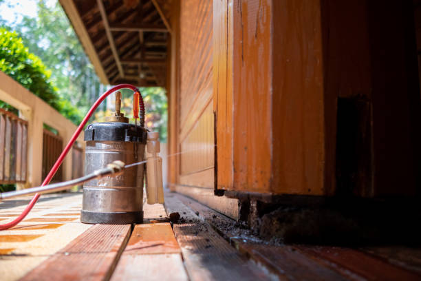 Best Affordable Pest Control Services  in Mulberry, IN