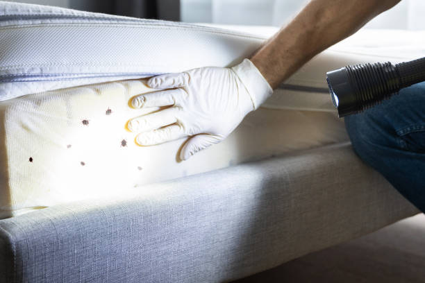 Best Affordable Pest Control Services  in Mulberry, IN