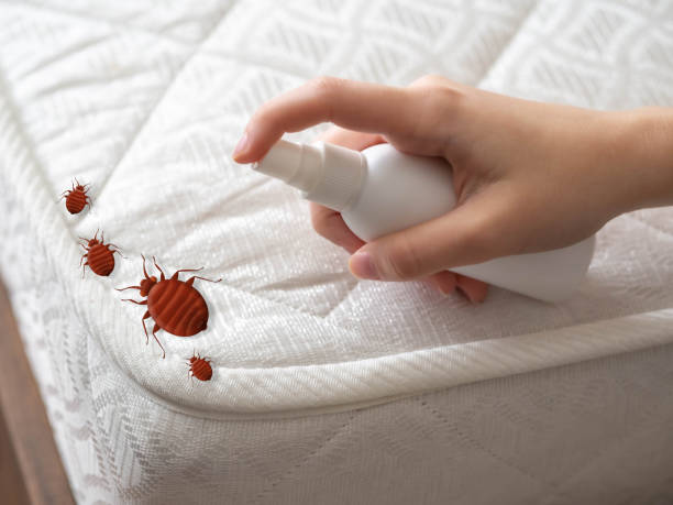 Best Mosquito Control Services  in Mulberry, IN