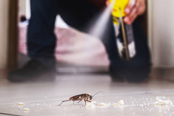Best Pest Control for Restaurants  in Mulberry, IN