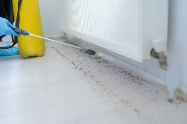 Best Emergency Pest Control  in Mulberry, IN