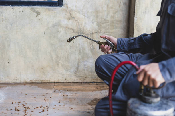 Best Affordable Exterminators  in Mulberry, IN